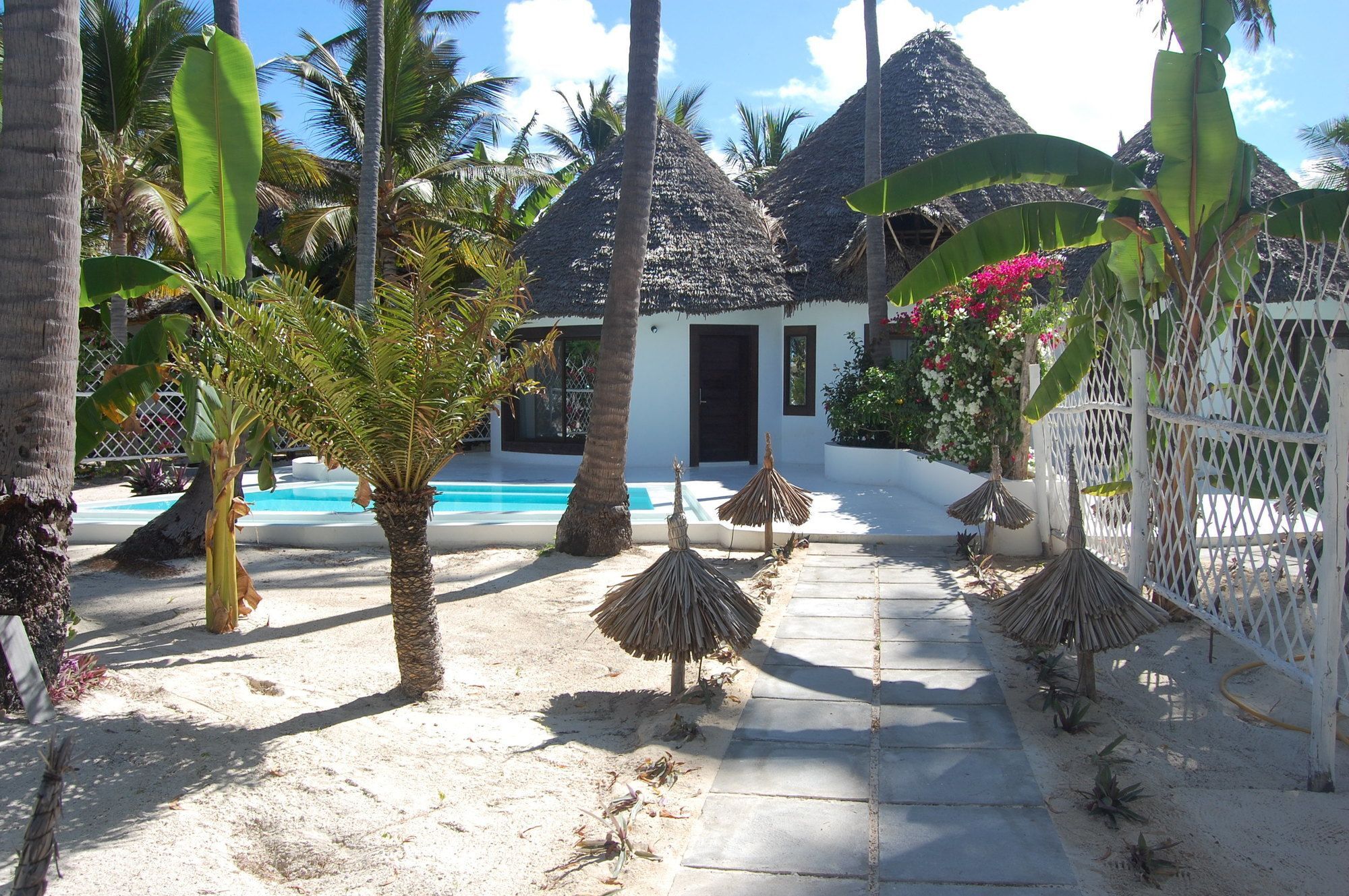 Blue Moon Resort Jambiani  Exterior photo