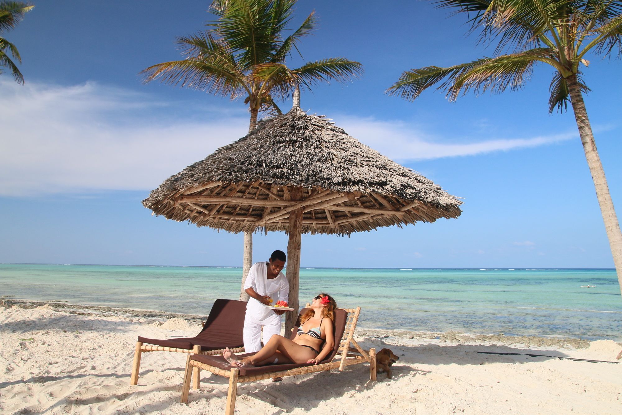 Blue Moon Resort Jambiani  Exterior photo